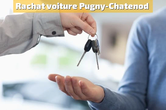 Technicien Manocar évaluant une auto d'occasion à Pugny-Chatenod