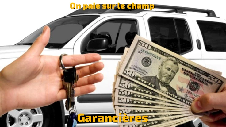 Estimation d'une auto accidentée pour rachat à Garancières